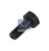 MAN 51981500167 Hollow Screw